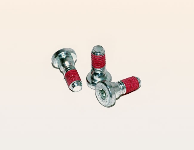 Linsenschraube mit Philips-Kreuzschlitz mit Bund